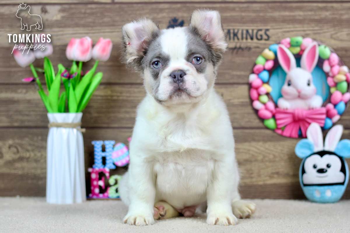 Matthew, the Plush Pal