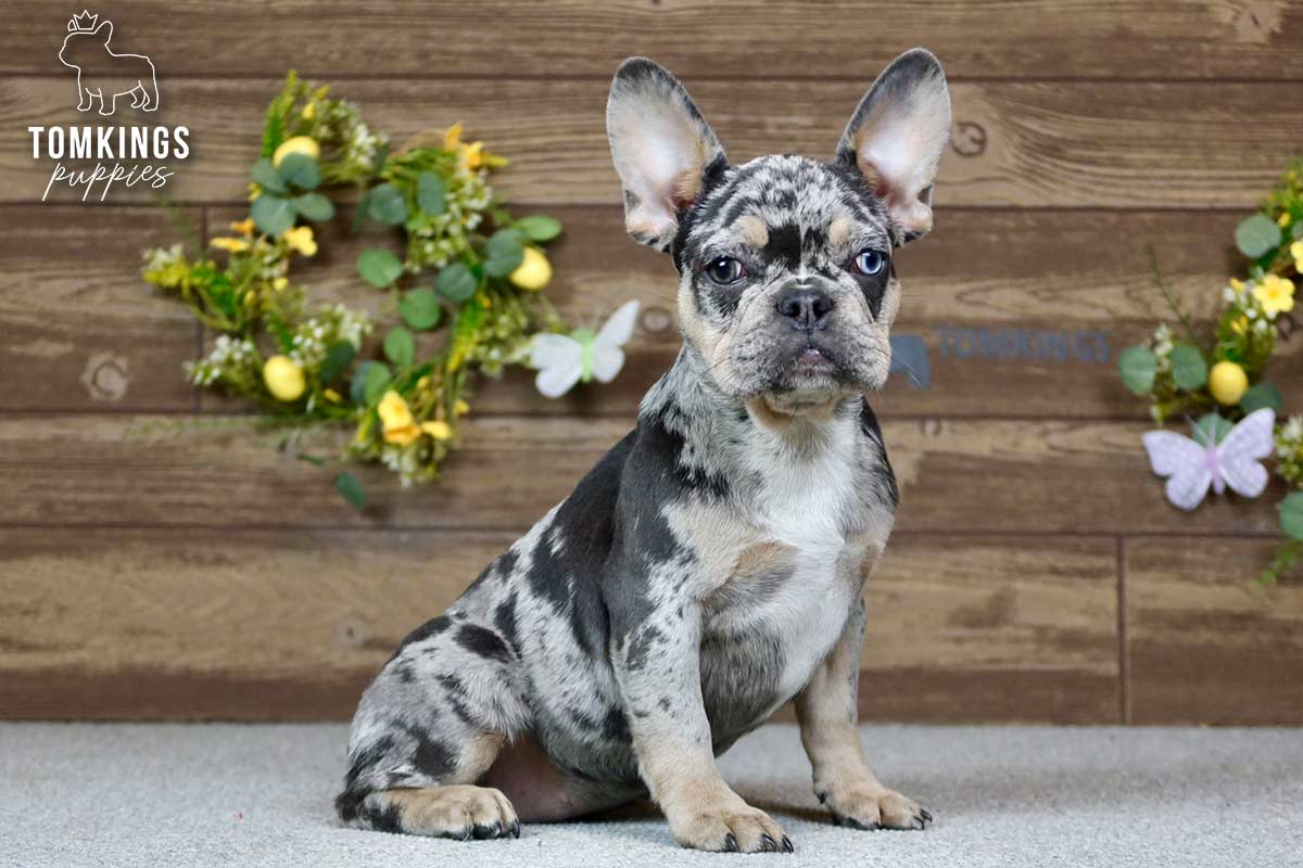 Patsy, the Little Lady