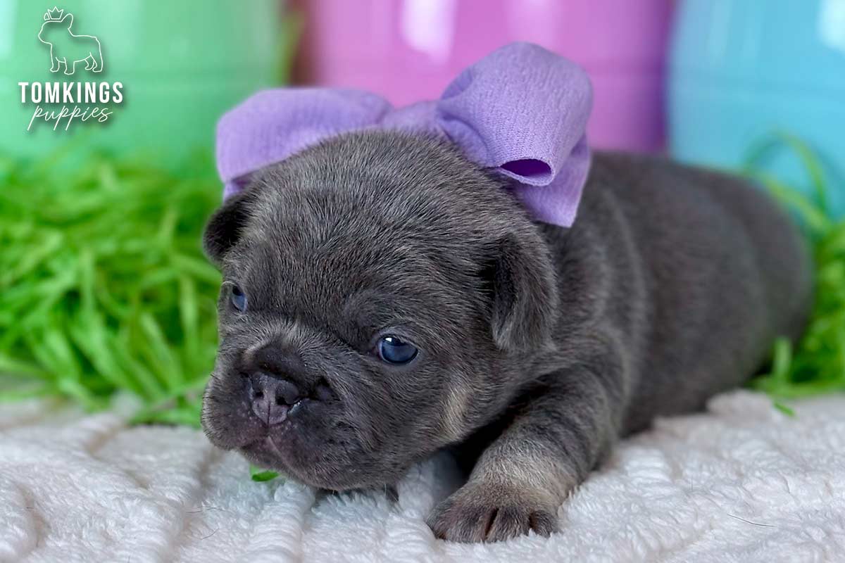 Lisa, the Snuggle Bug