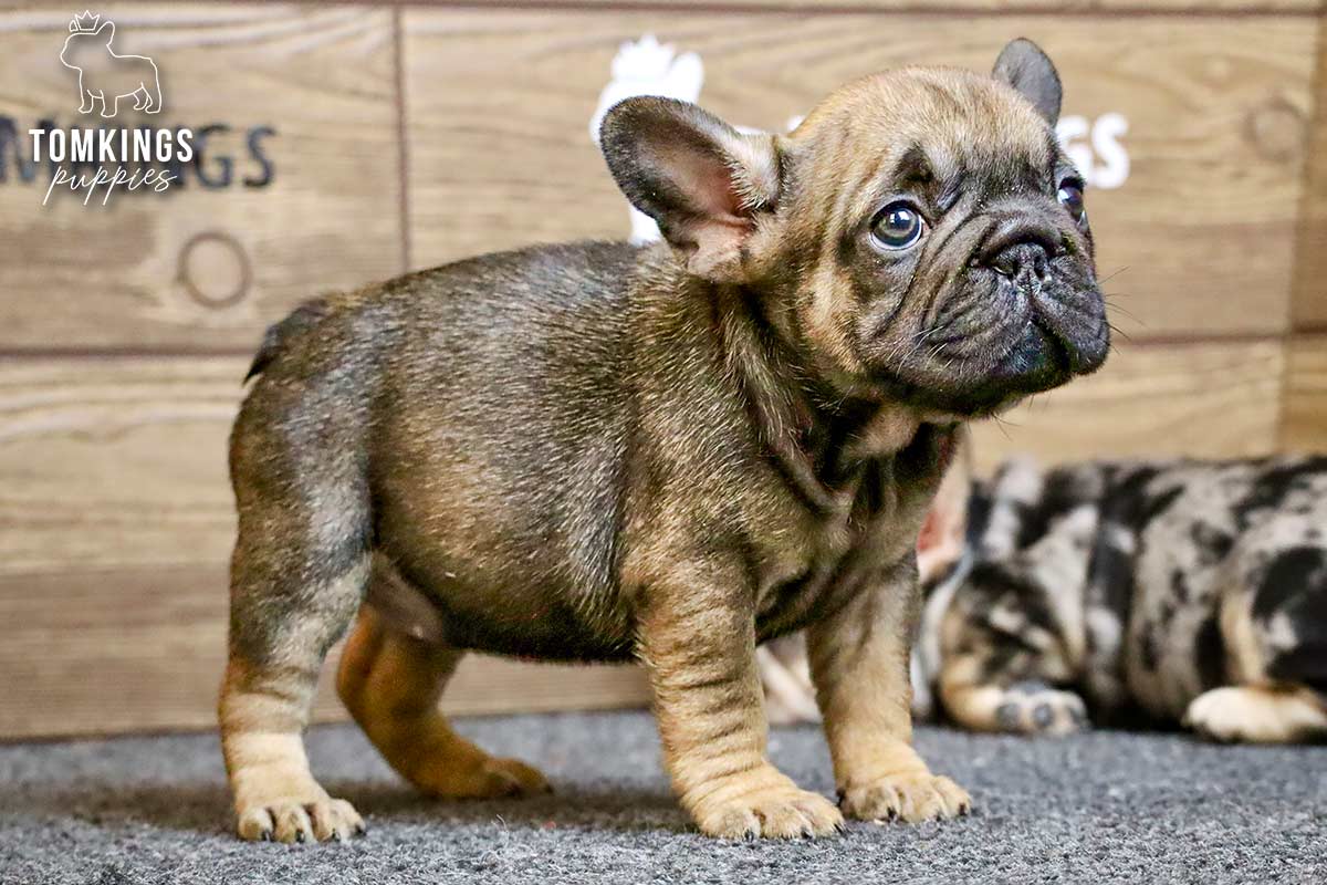 Marina, the Quietly Captivating