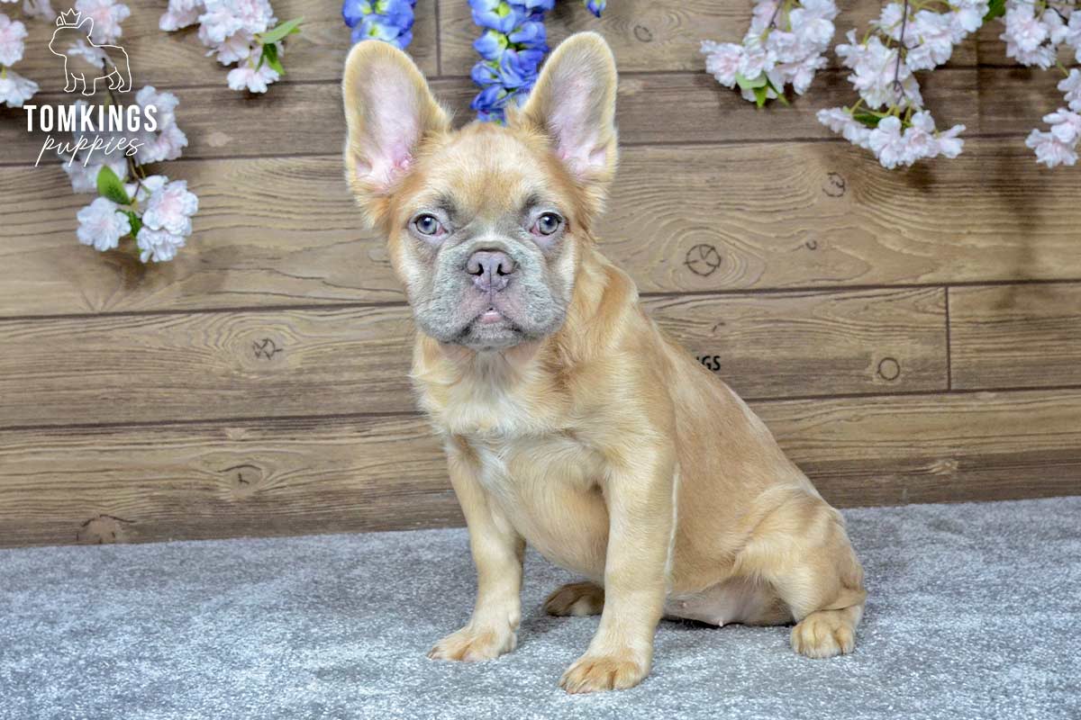 Nancy, the Soft Sidekick