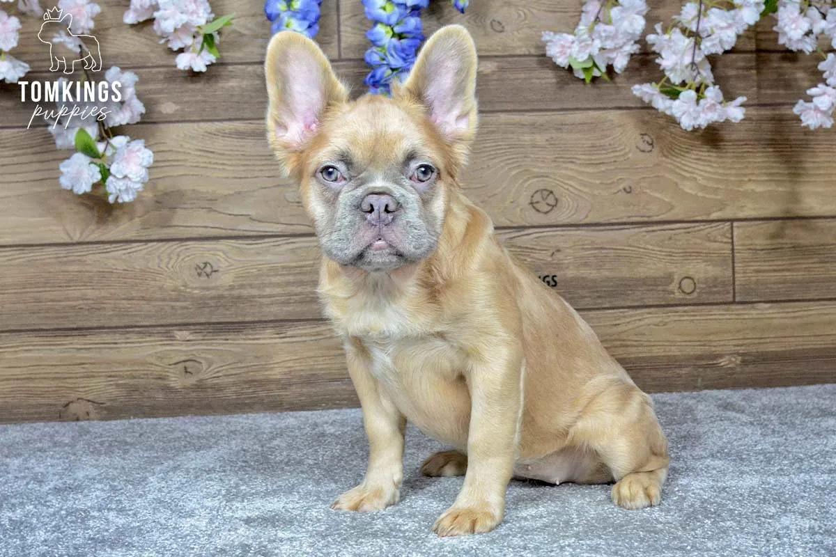 Nancy, the Soft Sidekick