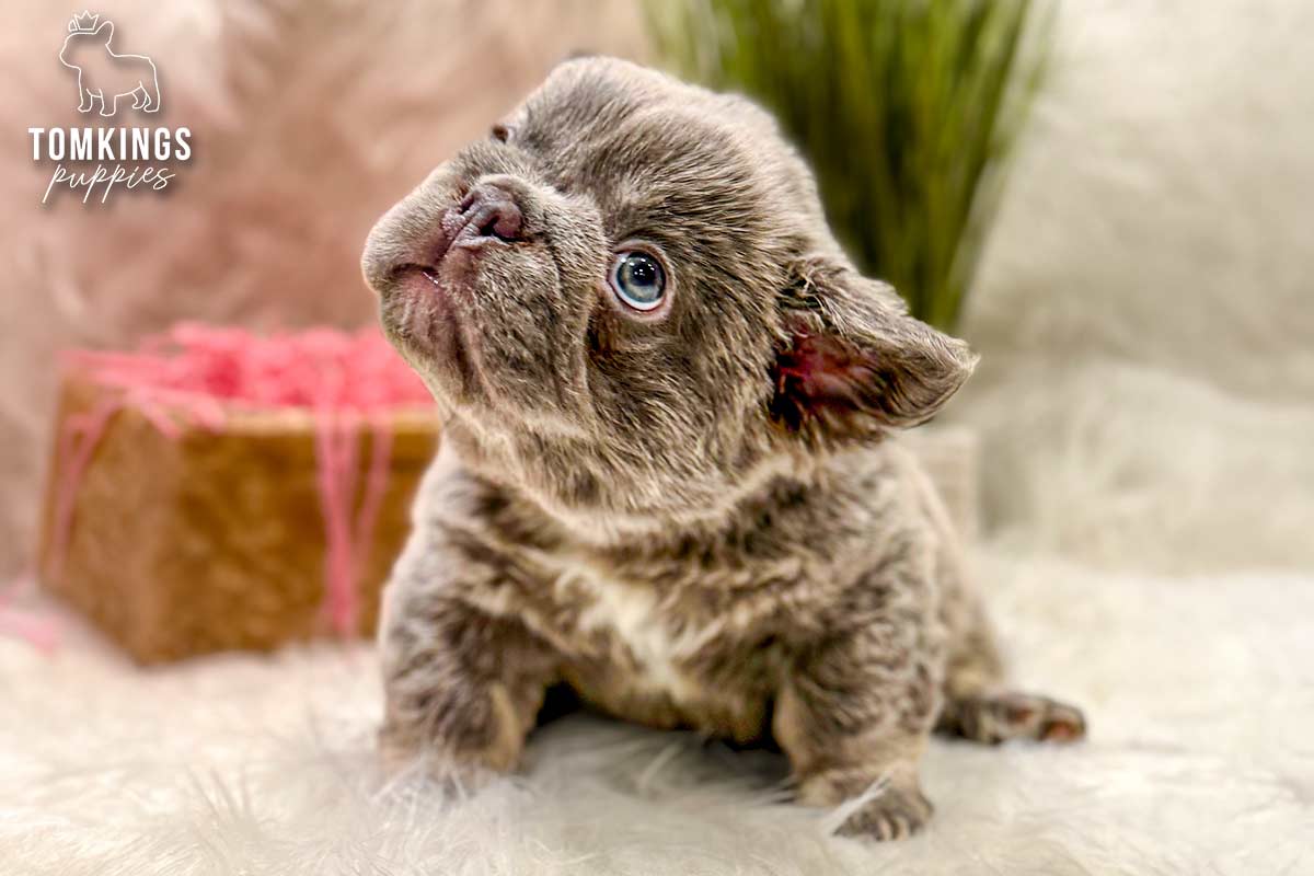 Poppy, the Waddling Wonder