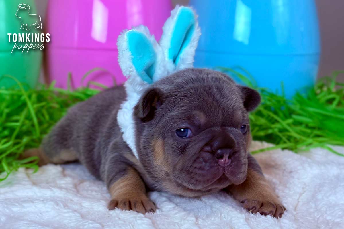 Slater, the Wobbly Wanderer