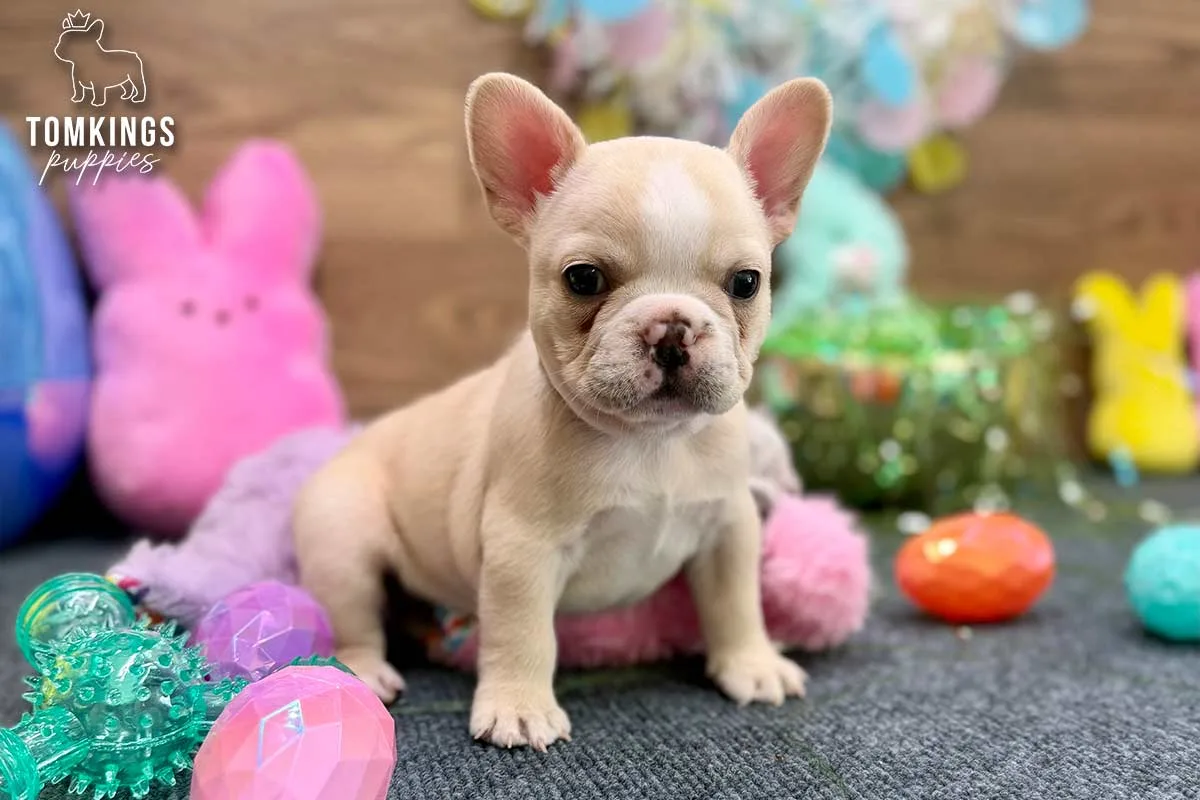 Tundra, the Cuddle Queen