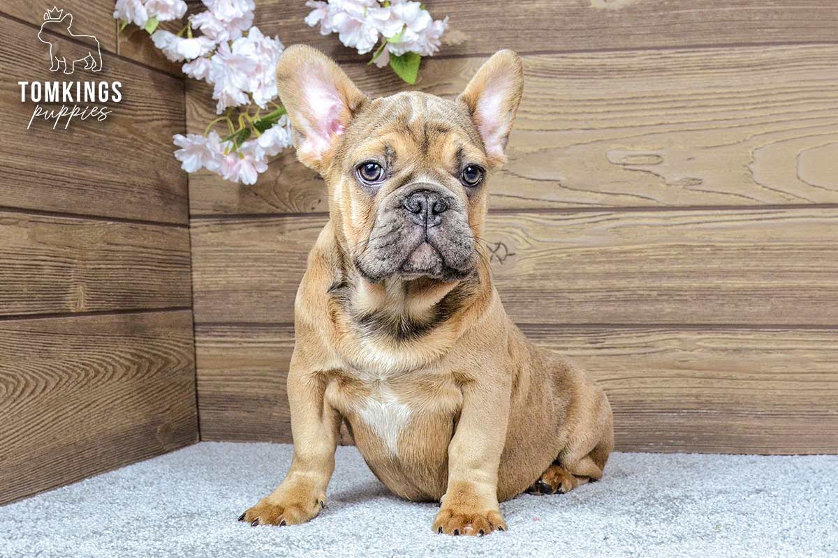 Breckin, the Chill Champion