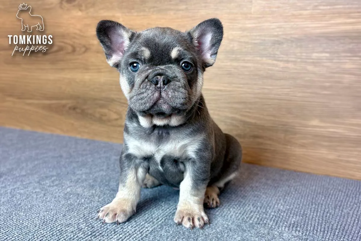 Jessie, the Peaceful Potato