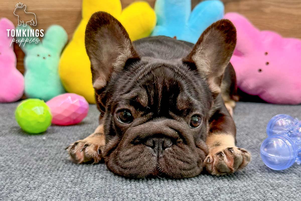 Jill, the Exotic Grace