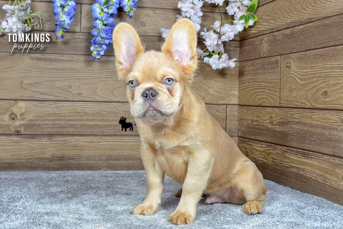 Jonathan, the plush toy