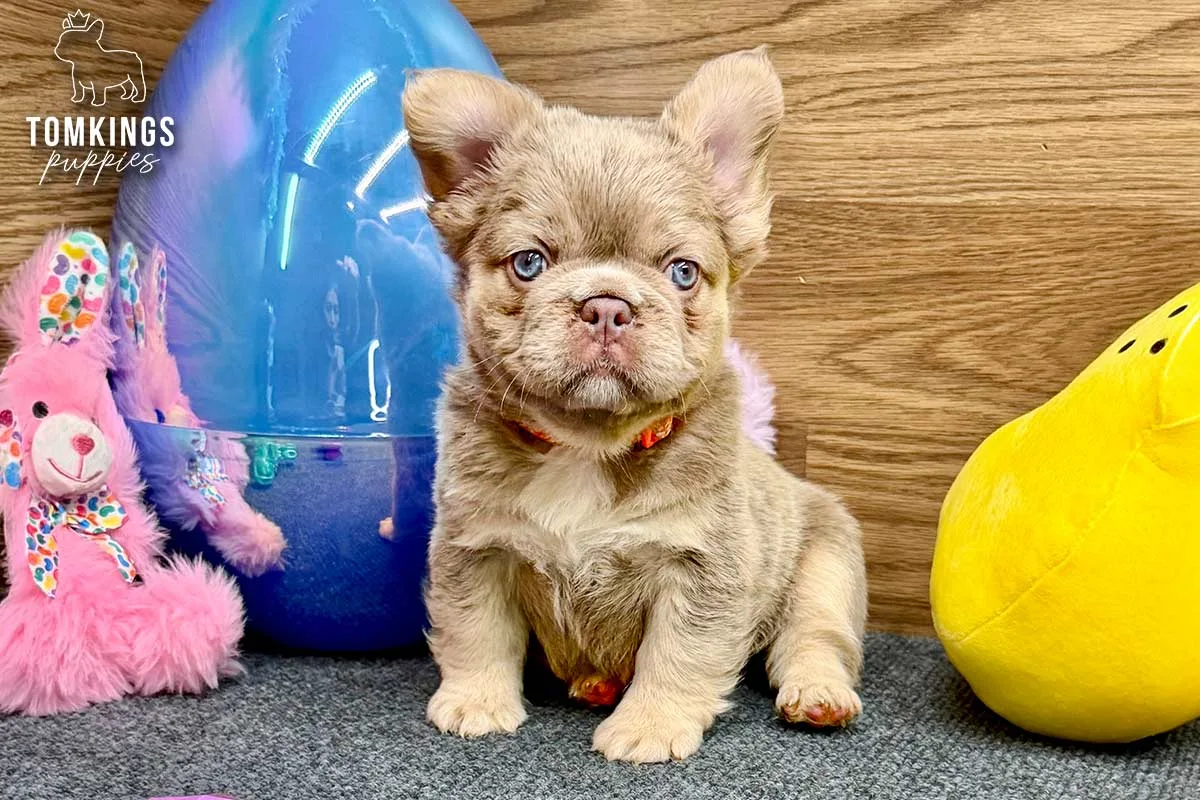 Kelsea, the Cloudlike Darling