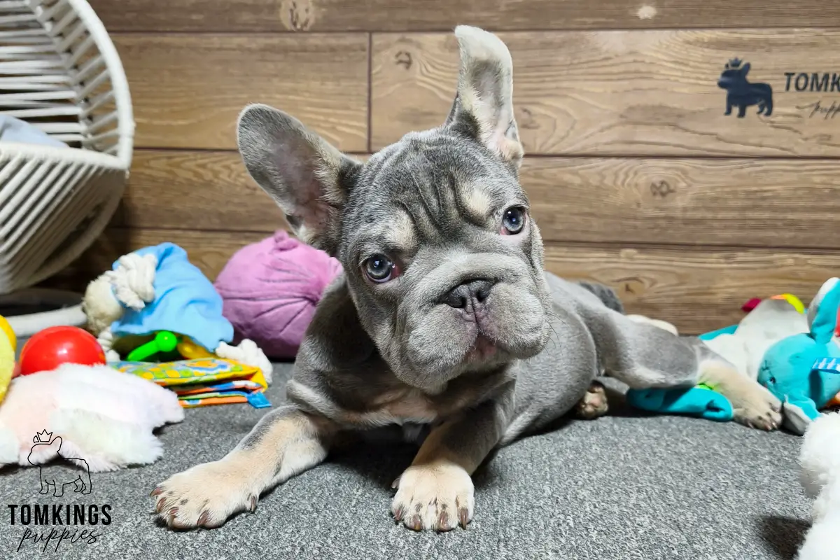 Florence, the Wrinkled Princess