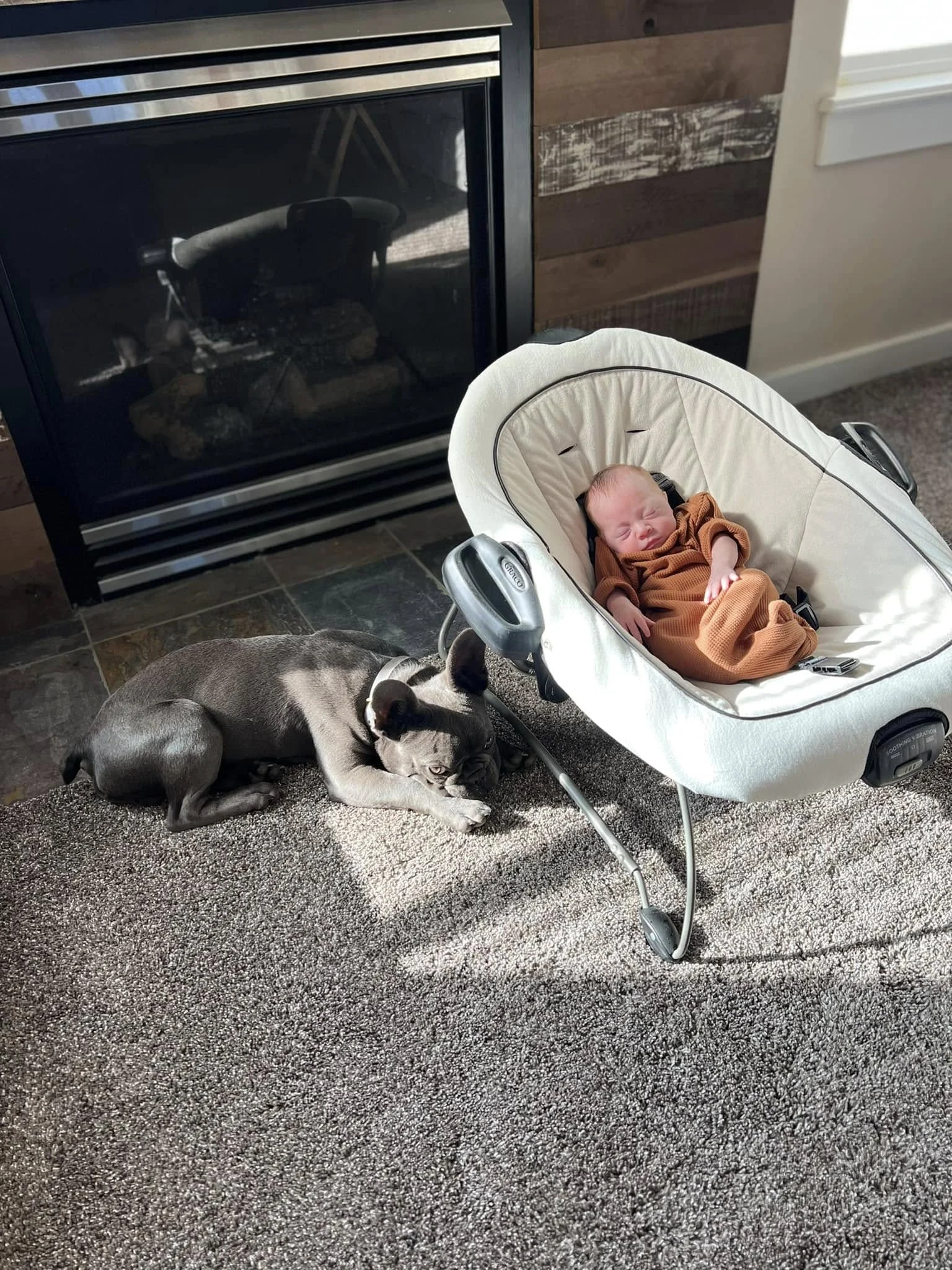 TomKings puppy with a baby