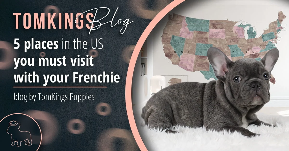 TomKings Blog banner for 5 places in the US you must visit with your Frenchie