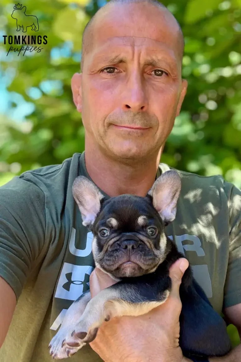 A bald man in an olive green shirt gently holds Adler, a choco and tan French Bulldog puppy, looking at the camera outdoors.