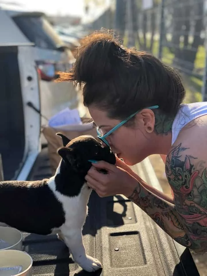 Woman kissing the nose of a black and white French Bulldog puppy