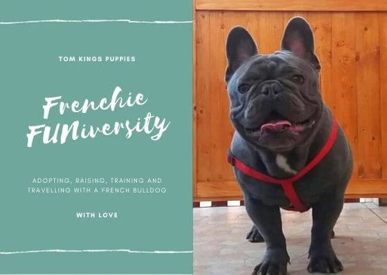 Frenchie FUNiversity ebook cover