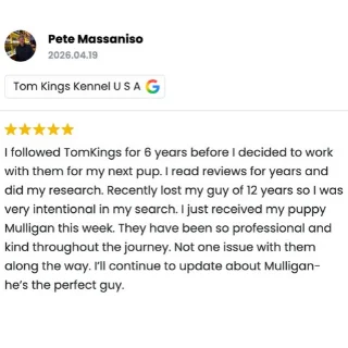 TomKings family member review