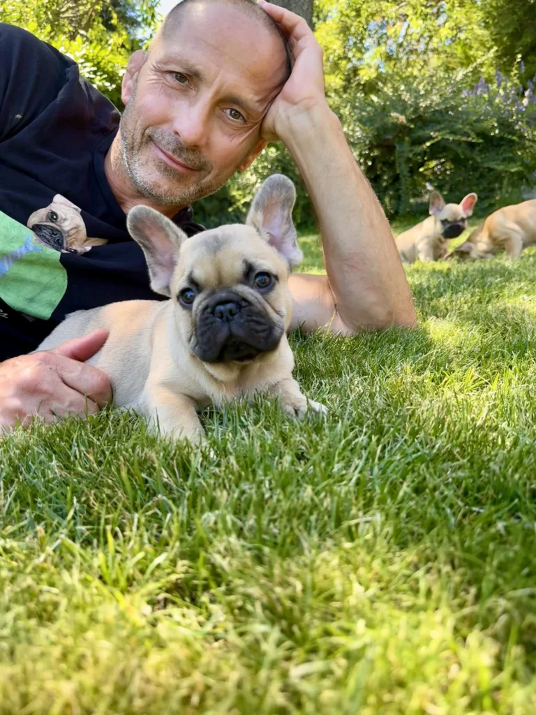 Beige French Bulldog puppy lying in the grass beside a man outdoors.