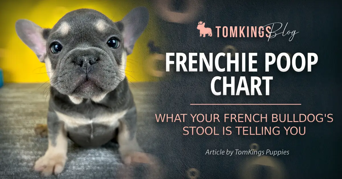 Frenchie Poop Chart Article by TomKings Kennel