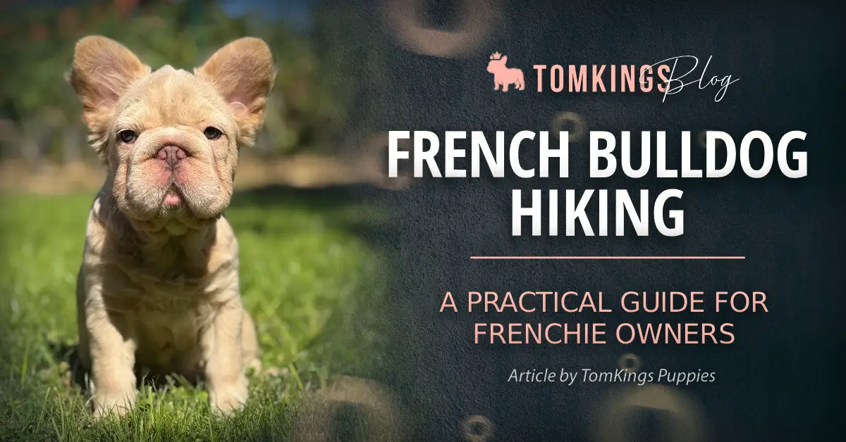 French Bulldog Hiking: A Practical Guide for Frenchie Owners