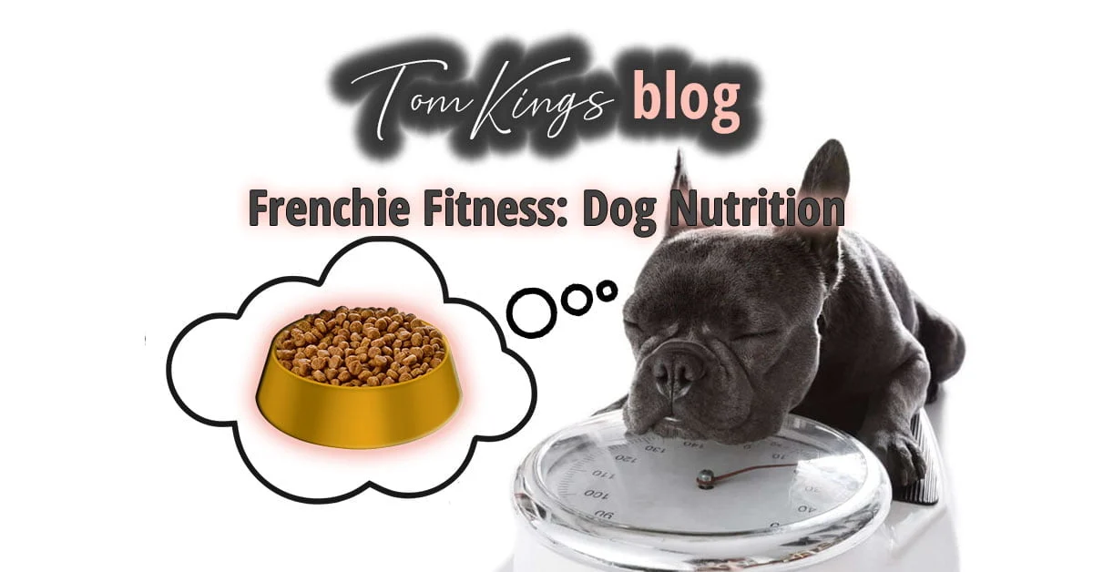 TomKings blog banner for Frenchie Fitness dog nutrition, with a grey French Bulldog resting its head on a bathroom scale