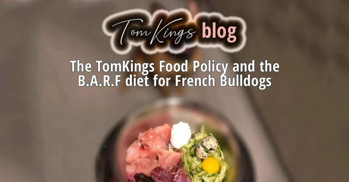 TomKings blog banner on the BARF diet for French Bulldogs, with an overhead view of raw food ingredients in a bowl