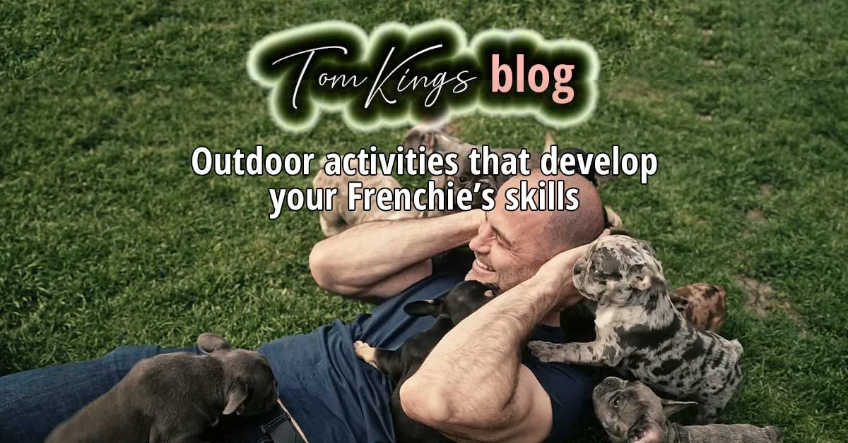 TomKings blog banner on outdoor activities for Frenchies, with a man lying in grass covered in French Bulldog puppies