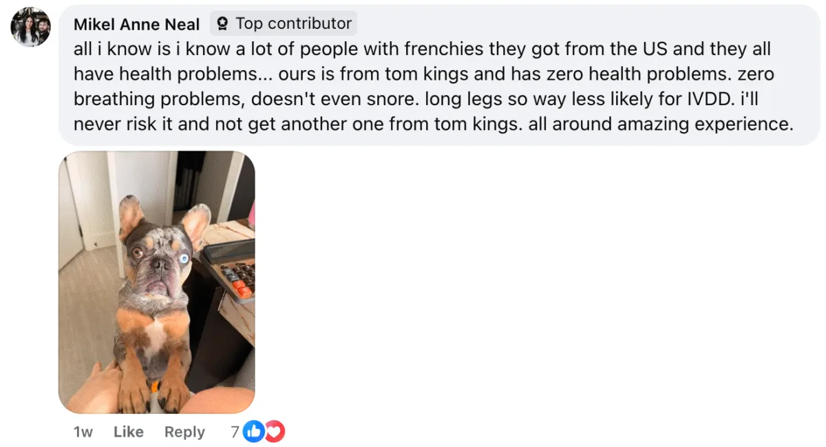 Facebook testimonial from Mikel Anne Neal about her healthy TomKings puppy