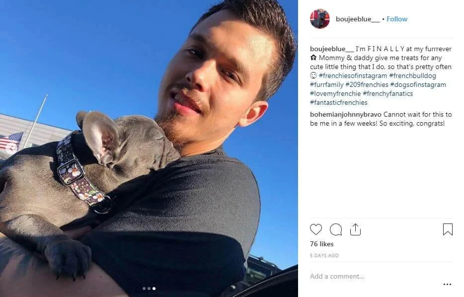 Man holding a blue French Bulldog puppy outdoors