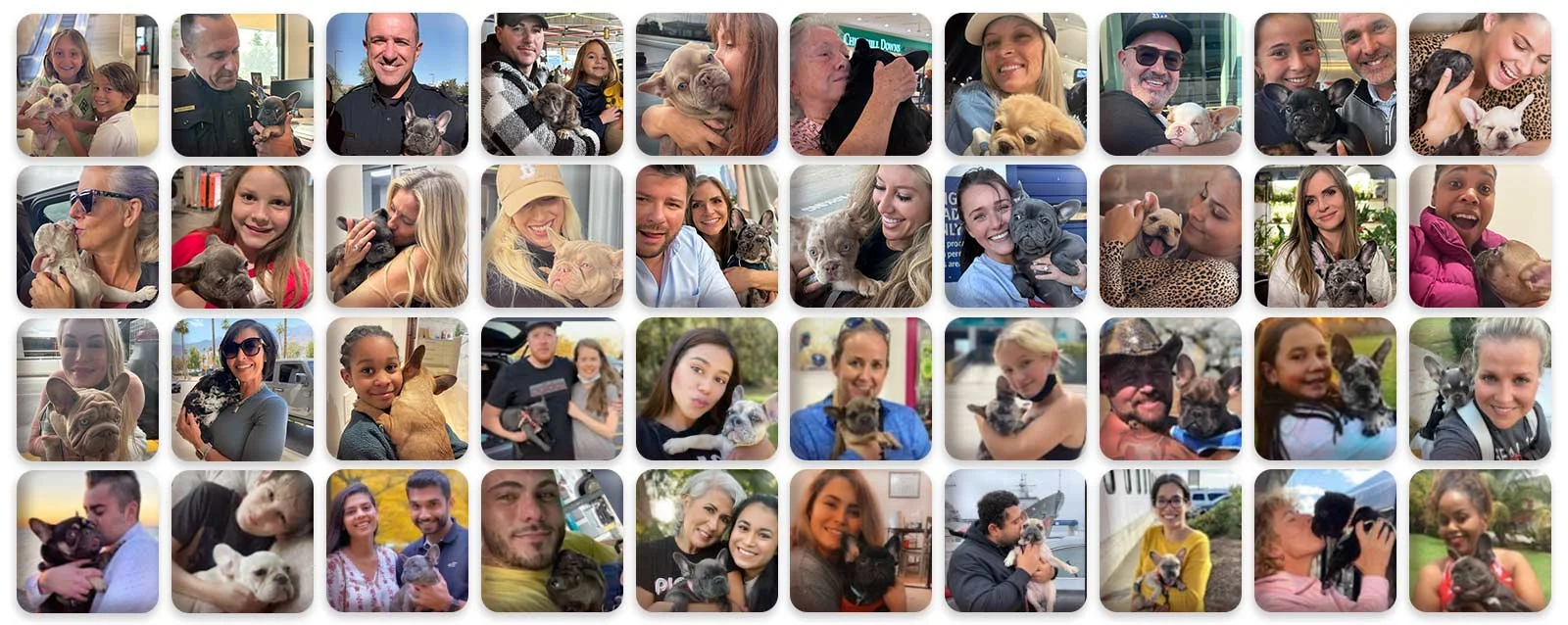 Customers Collage, happy Frenchie Families