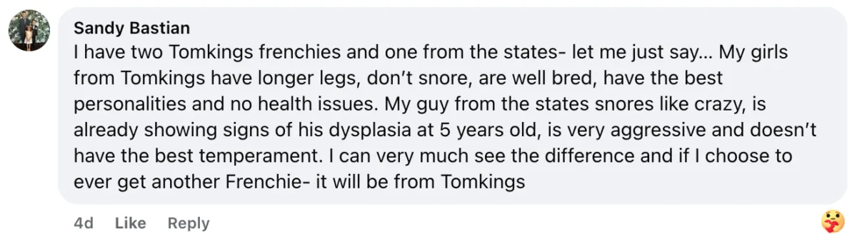 Facebook testimonial from Sandy Bastian comparing TomKings puppies to a US breeder