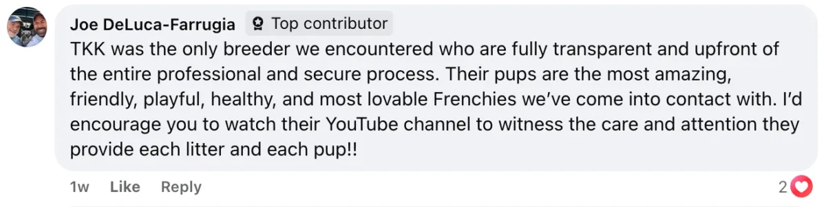 Facebook testimonial from Joe DeLuca-Farrugia praising TomKings' transparency