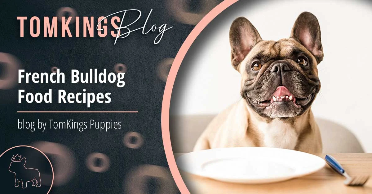 TomKings blog banner about French Bulldog food recipes