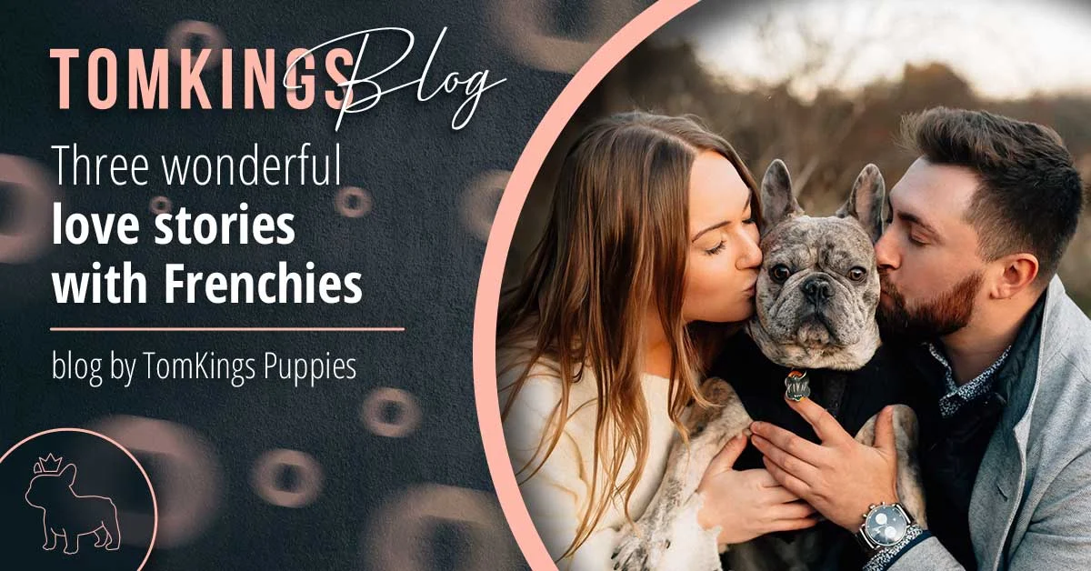 TomKings blog header: Three wonderful love stories with Frenchies