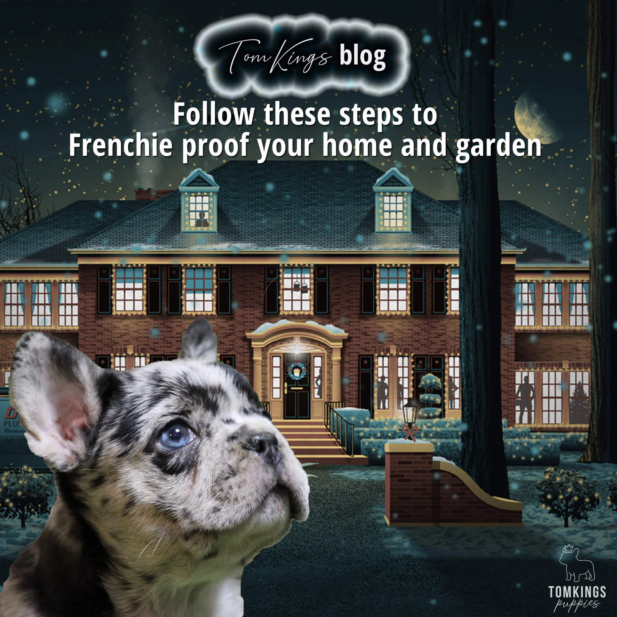 TomKings blog banner about Frenchie-proofing your home and garden