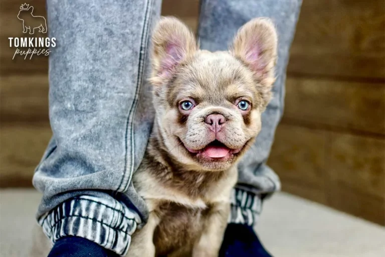 Georgia