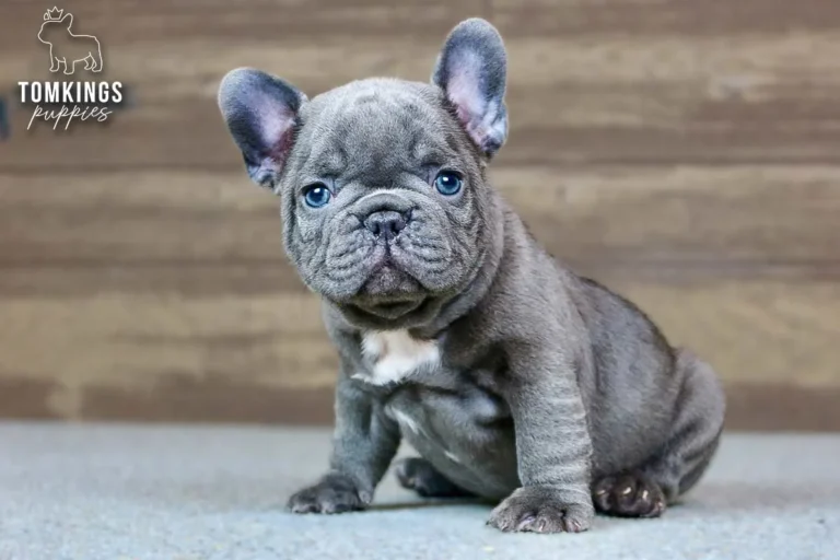Hector