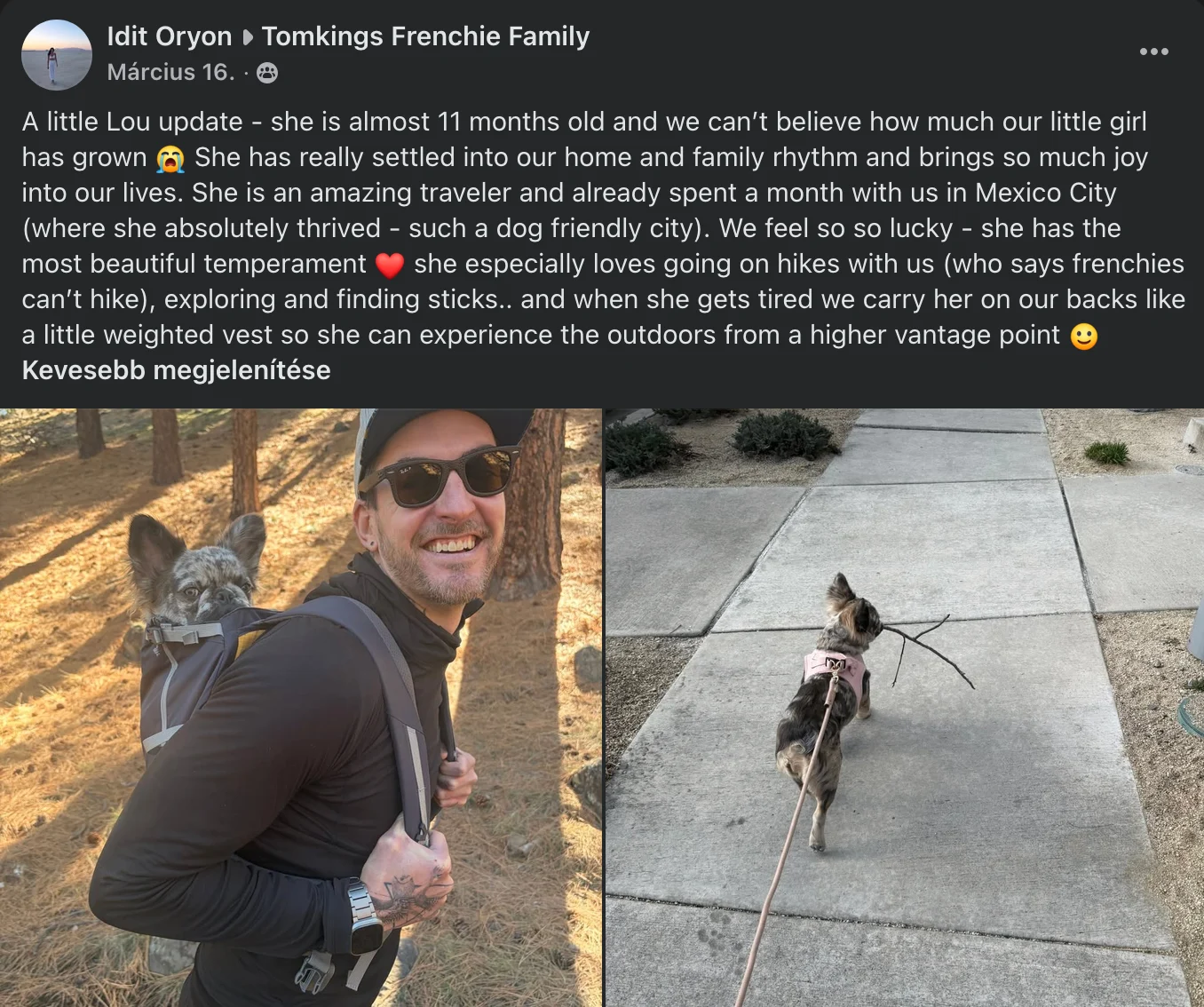 French Bulldog Hiking Facebook post by TomKings Family member