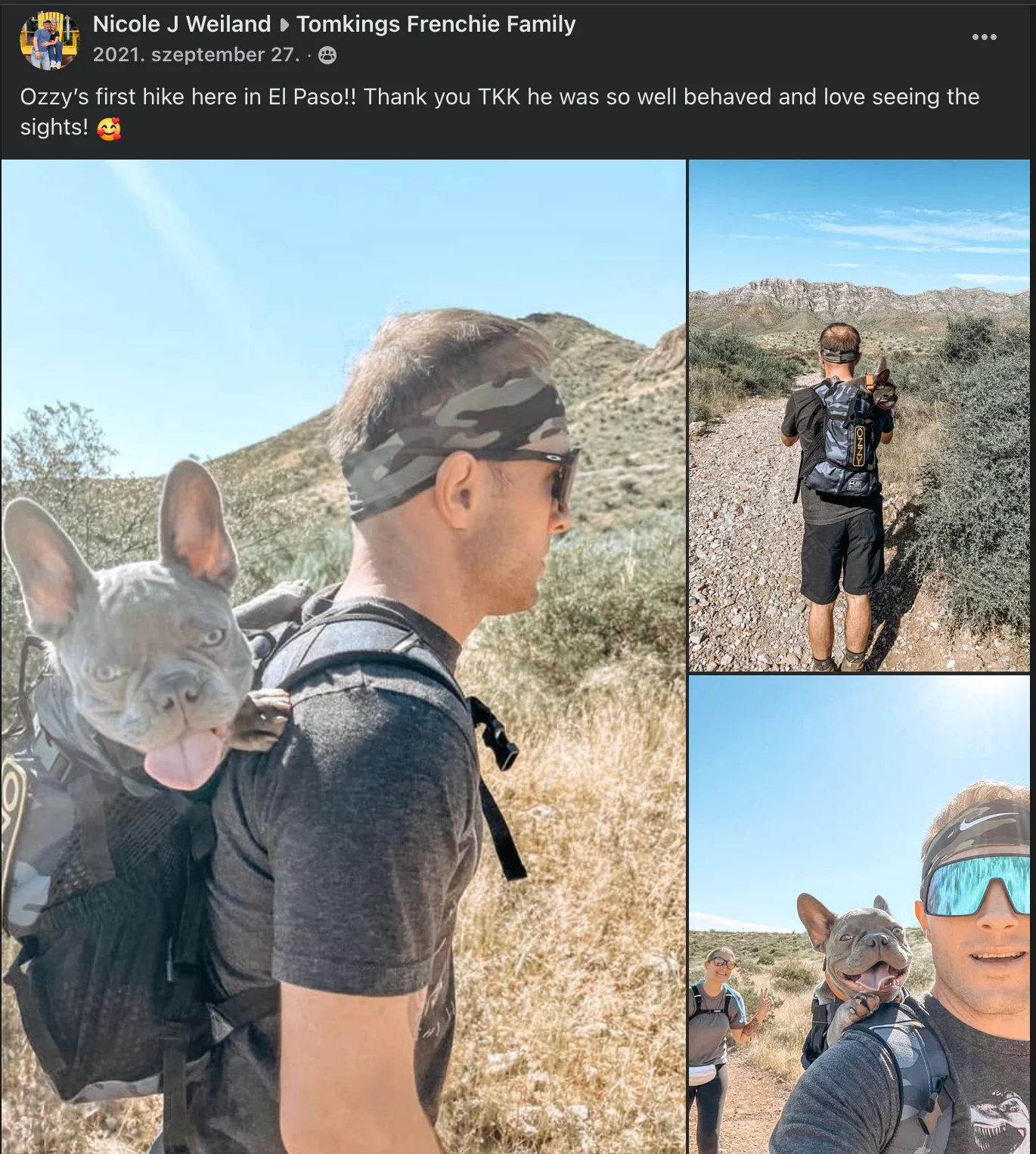 French Bulldog Hiking Facebook post by TomKings Family member