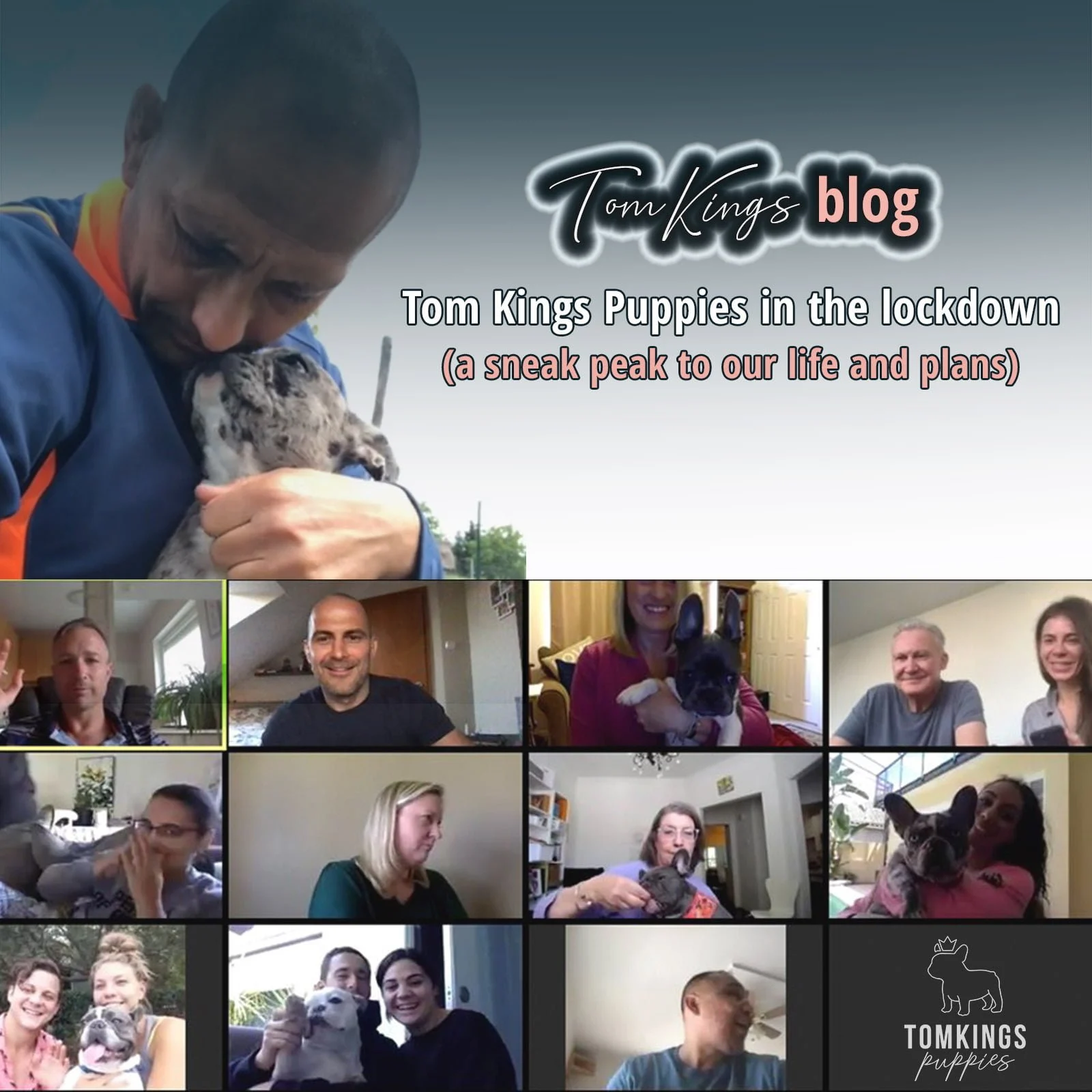 TomKings blog banner for Tom Kings Puppies in the lockdown with a video call grid of people holding French Bulldog puppies