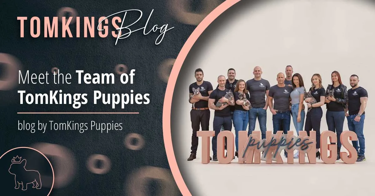TomKings blog banner Meet the Team of TomKings Puppies, with staff holding puppies behind large letters