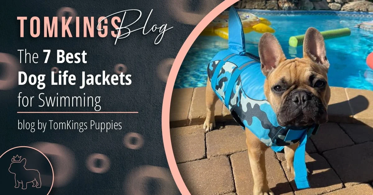 TomKings Blog banner for the 7 best dog life jackets for swimming