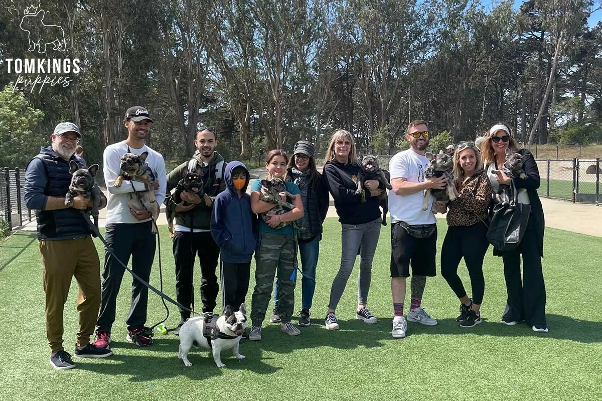 Large group of people with French Bulldogs at a TomKings meetup in San Francisco