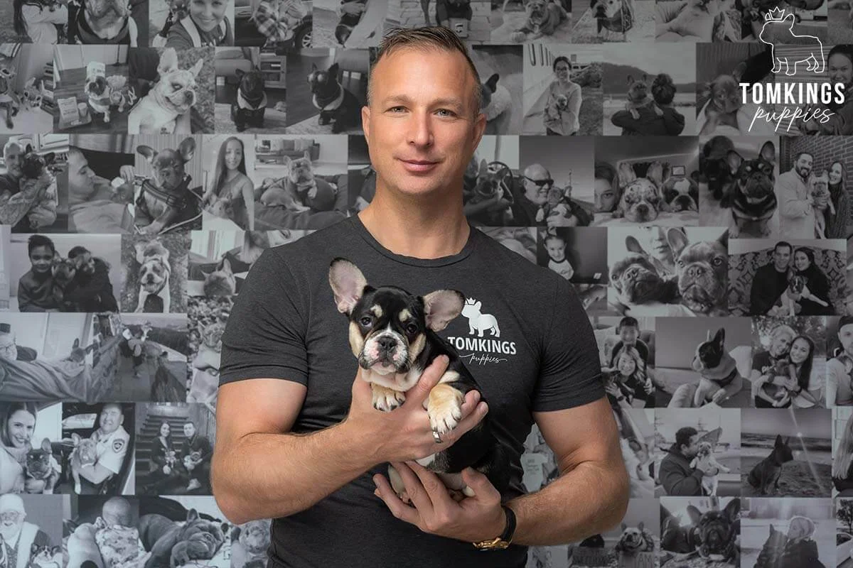 Tony holding a black and tan French Bulldog puppy